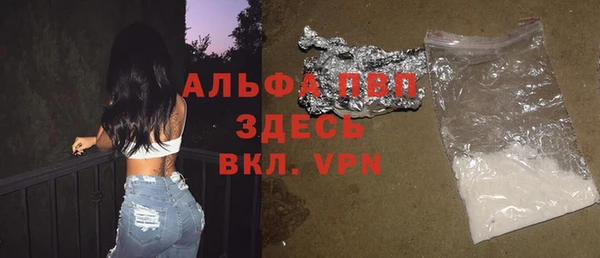 амф Новокубанск