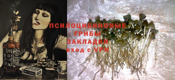 стафф Няндома