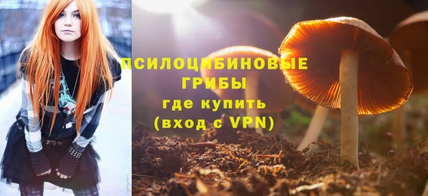 соль ск Нязепетровск