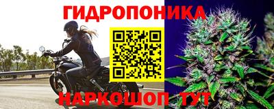 шишки Балаково