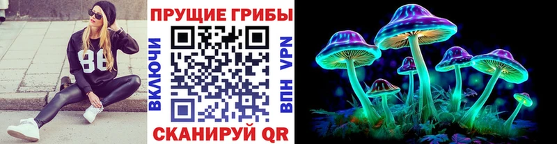 OMG ссылки Владикавказ Псилоцибиновые грибы ЛСД