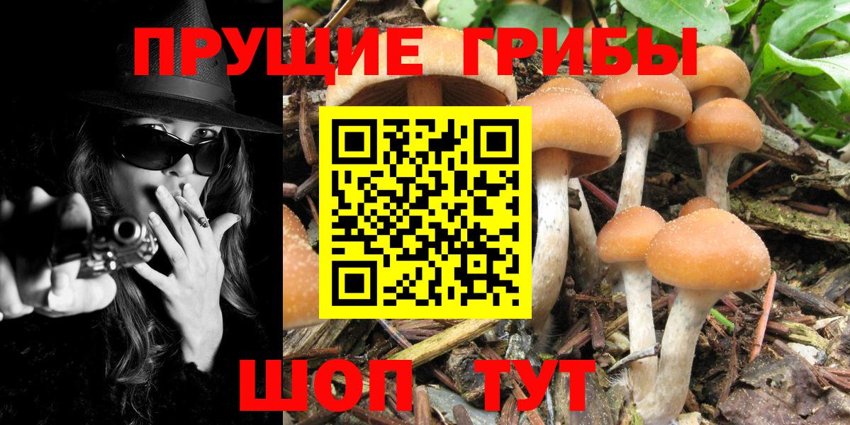 A PVP  Cocaine  COCAIN  Вход с VPN  Хэш  Вейп ТГК  Меф  Марихуана  Владикавказ  МДМА 