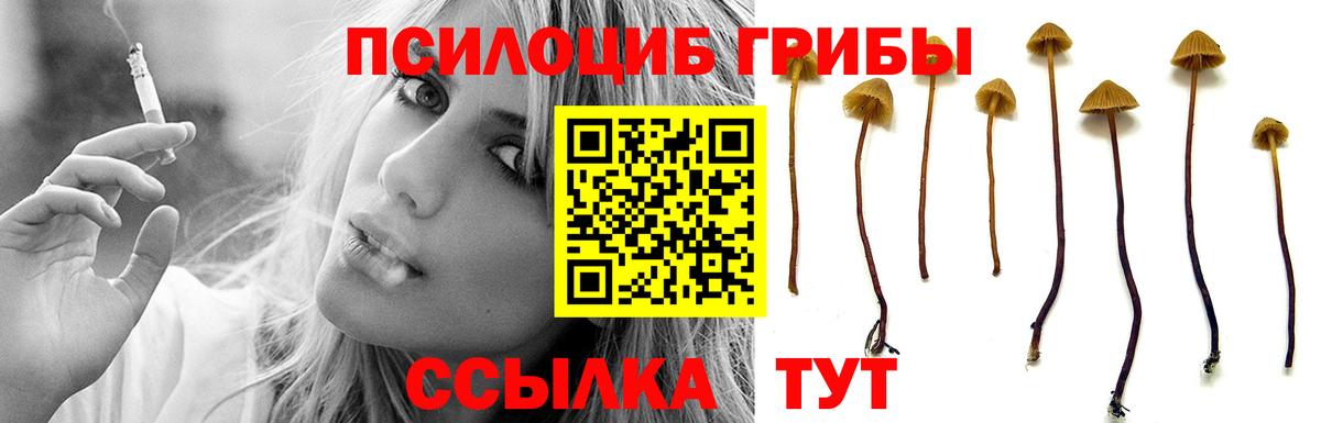 Галлюциногенные грибы мухоморы  Вход с VPN  Владикавказ  Галлюциногенные грибы мухоморы 