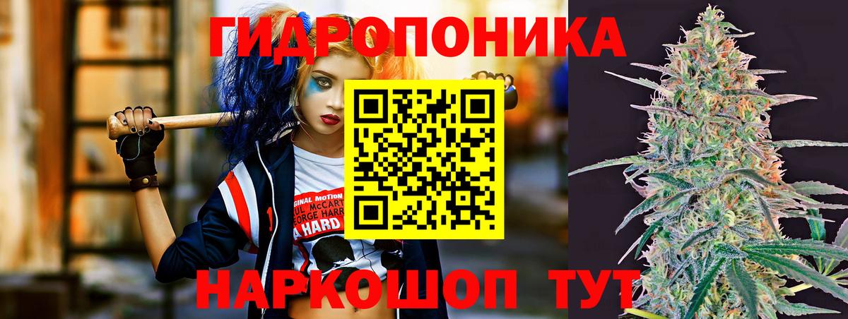 Марихуана Ganja  Бошки Шишки OG Kush  Владикавказ 